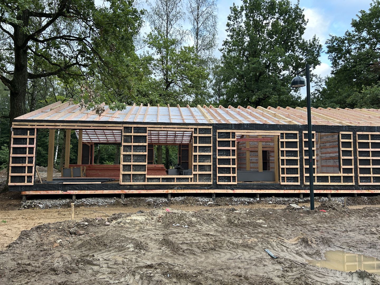 благоустройство, лесопарк, Фрязино