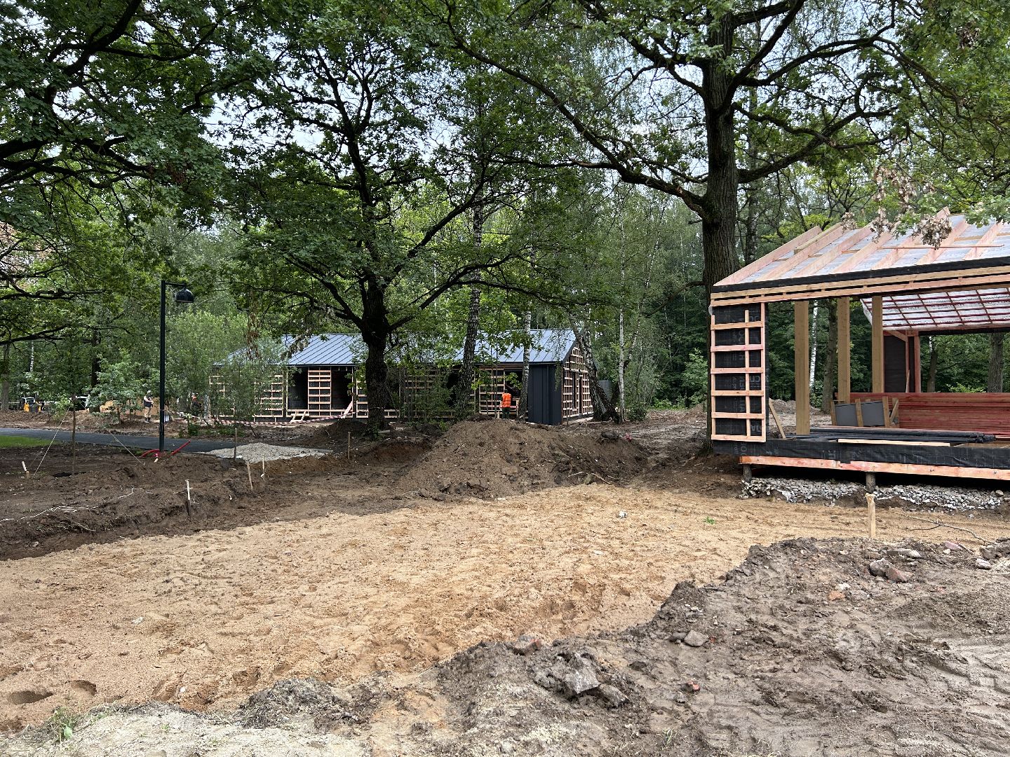 благоустройство, лесопарк, Фрязино