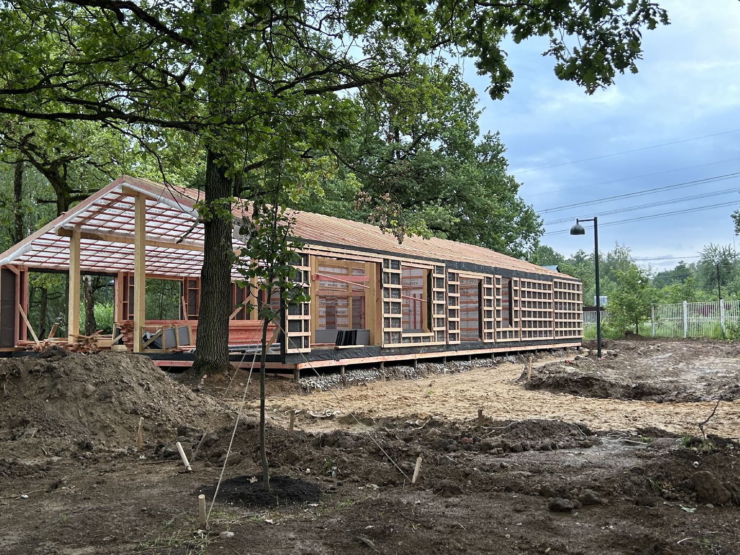 благоустройство, лесопарк, Фрязино