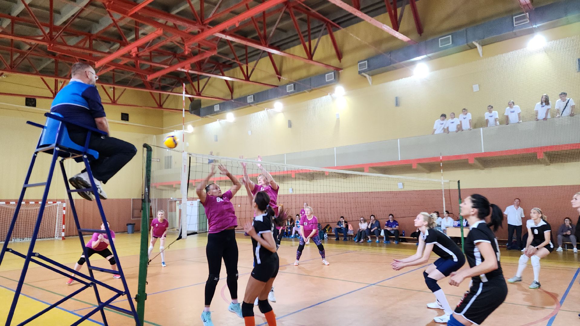 спорт, волейбол,