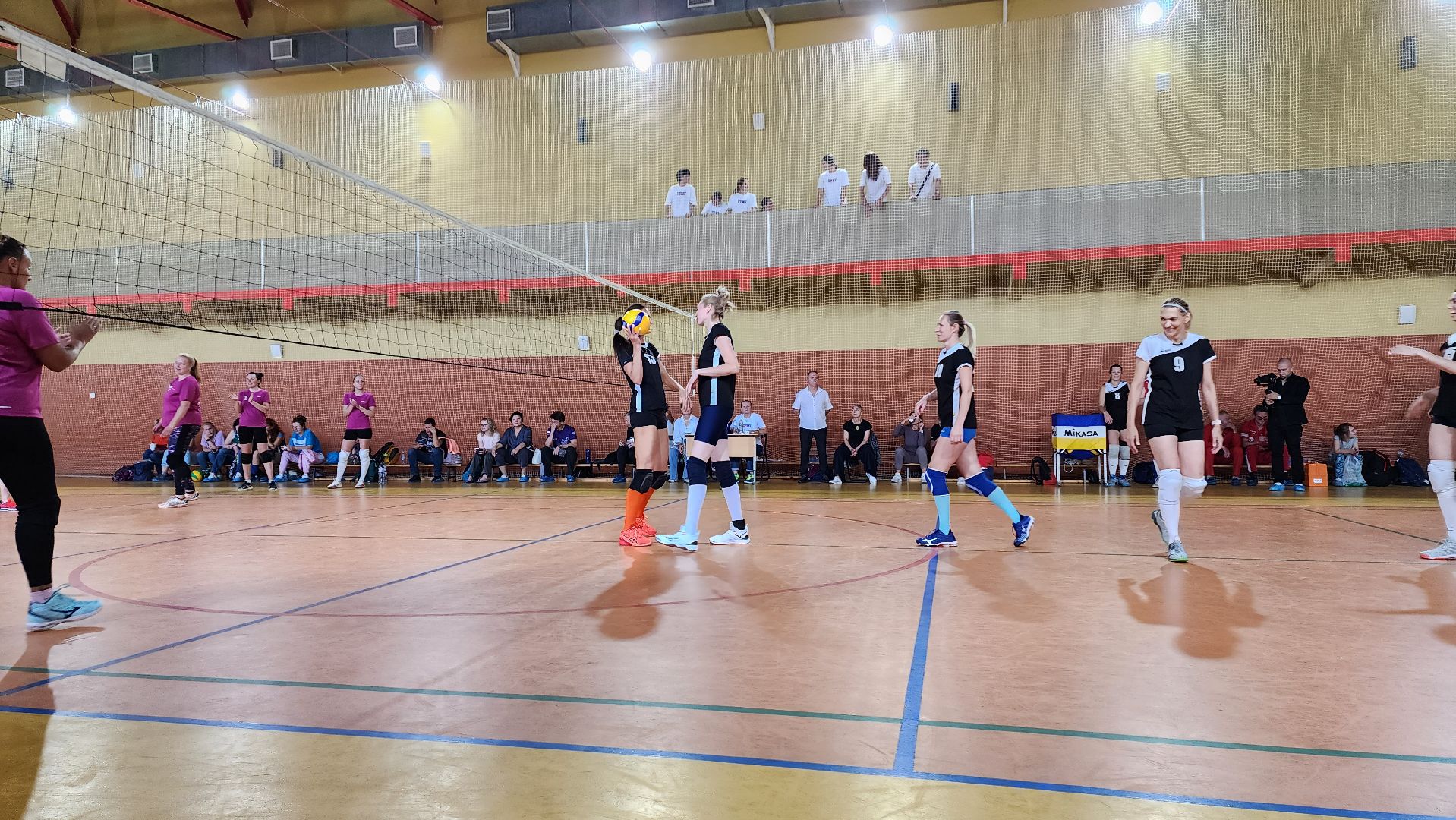 спорт, волейбол,