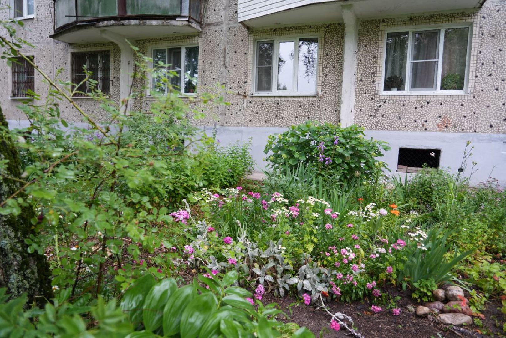 Сергиево-Посадский городской округ, Сергиев Посад, Конкурс цветников, Красота, Лето в Подмосковье, Благоустройство, Перемены