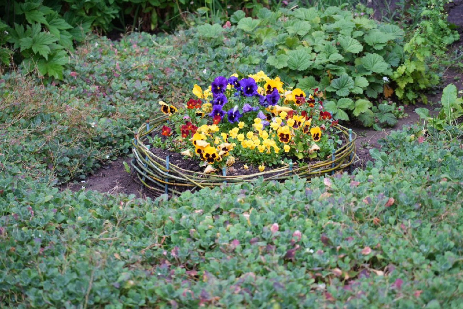 Сергиево-Посадский городской округ, Сергиев Посад, Конкурс цветников, Красота, Лето в Подмосковье, Благоустройство, Перемены