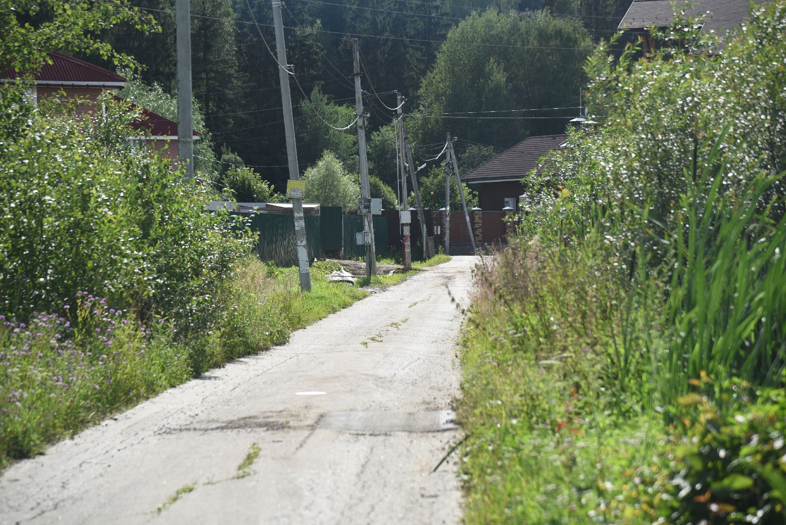 Химки, деревня, депутат, встреча, жители