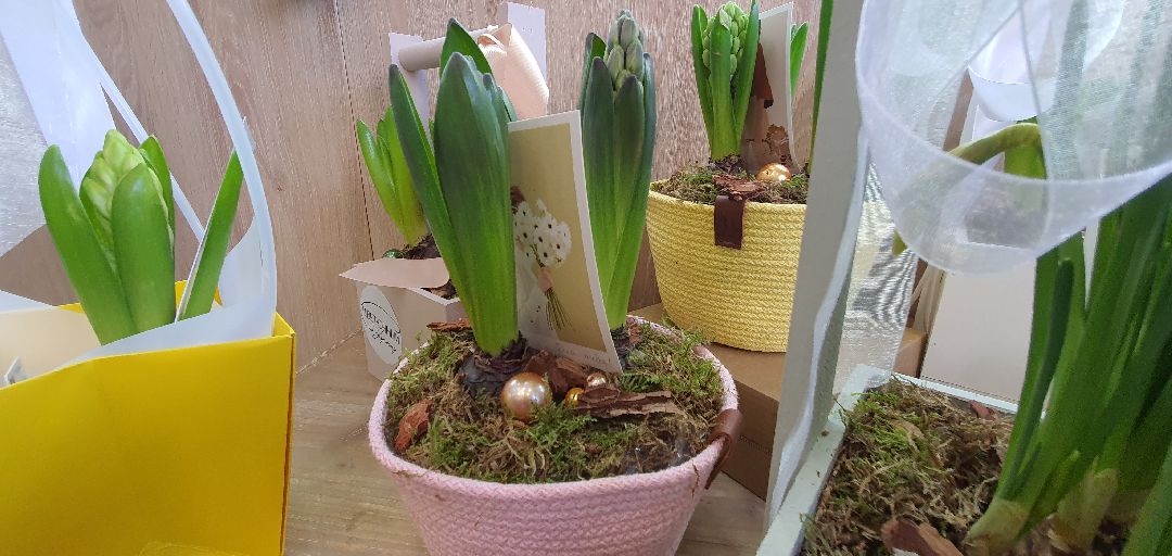 8 Марта, цветы, весна, Домодедово