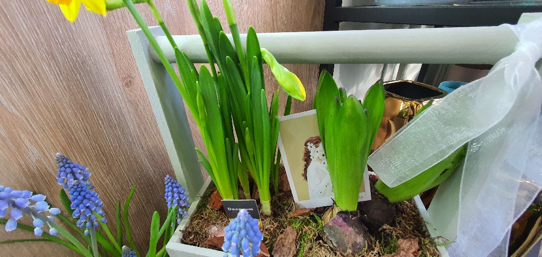 8 Марта, цветы, весна, Домодедово