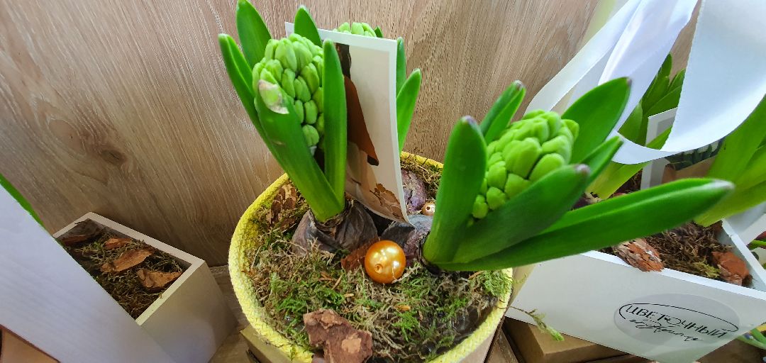 8 Марта, цветы, весна, Домодедово