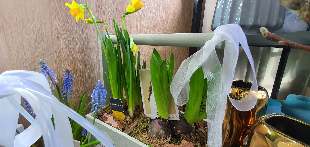 8 Марта, цветы, весна, Домодедово