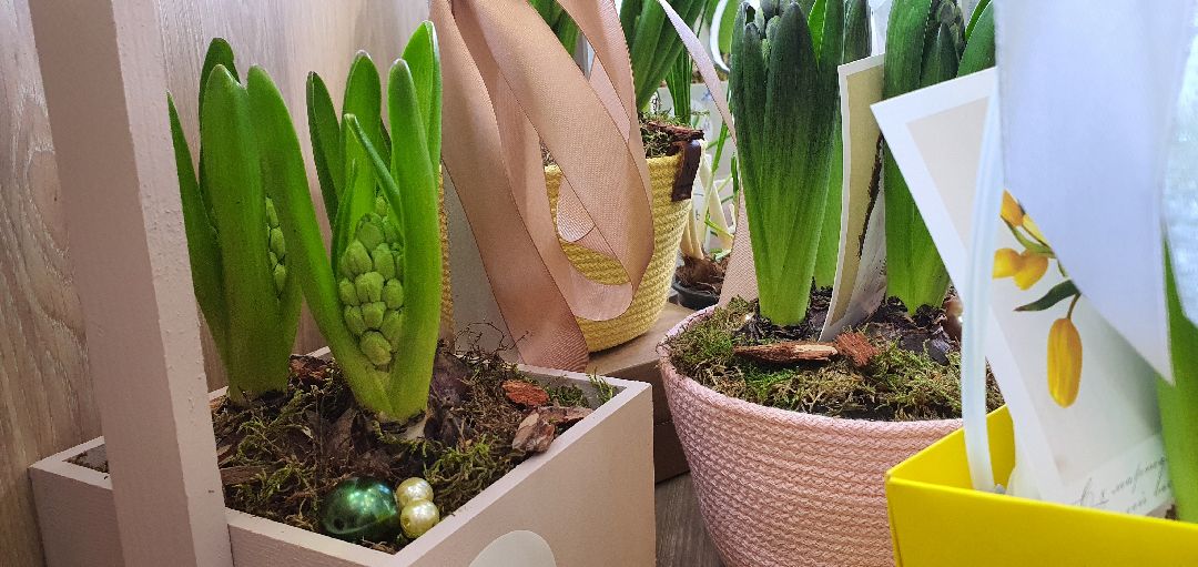 8 Марта, цветы, весна, Домодедово