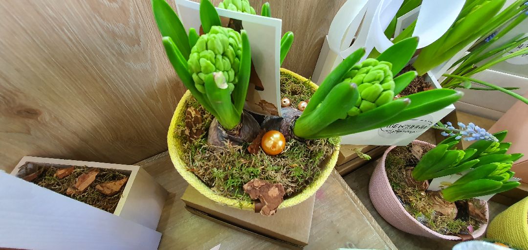 8 Марта, цветы, весна, Домодедово