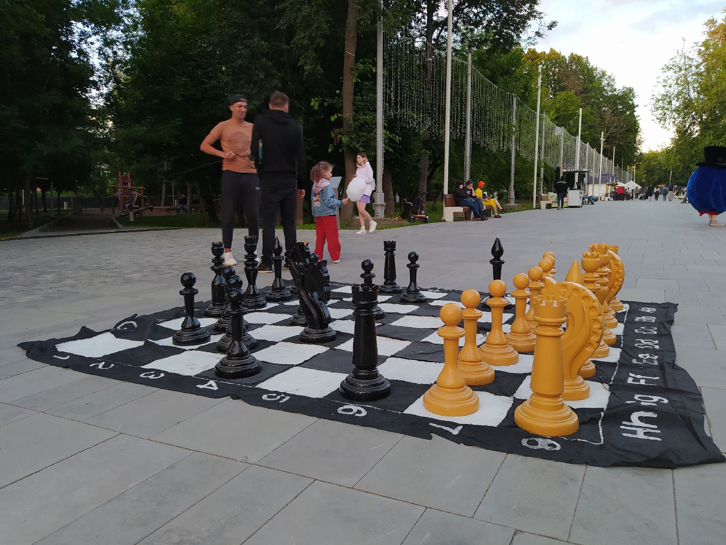 Истра, парк, шахматы, ночь