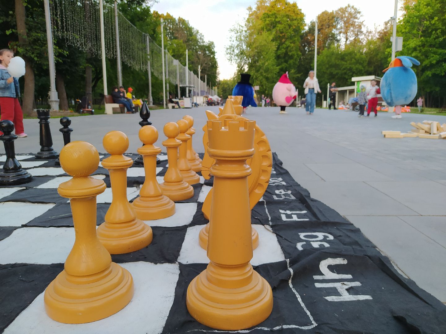 Истра, парк, шахматы, ночь