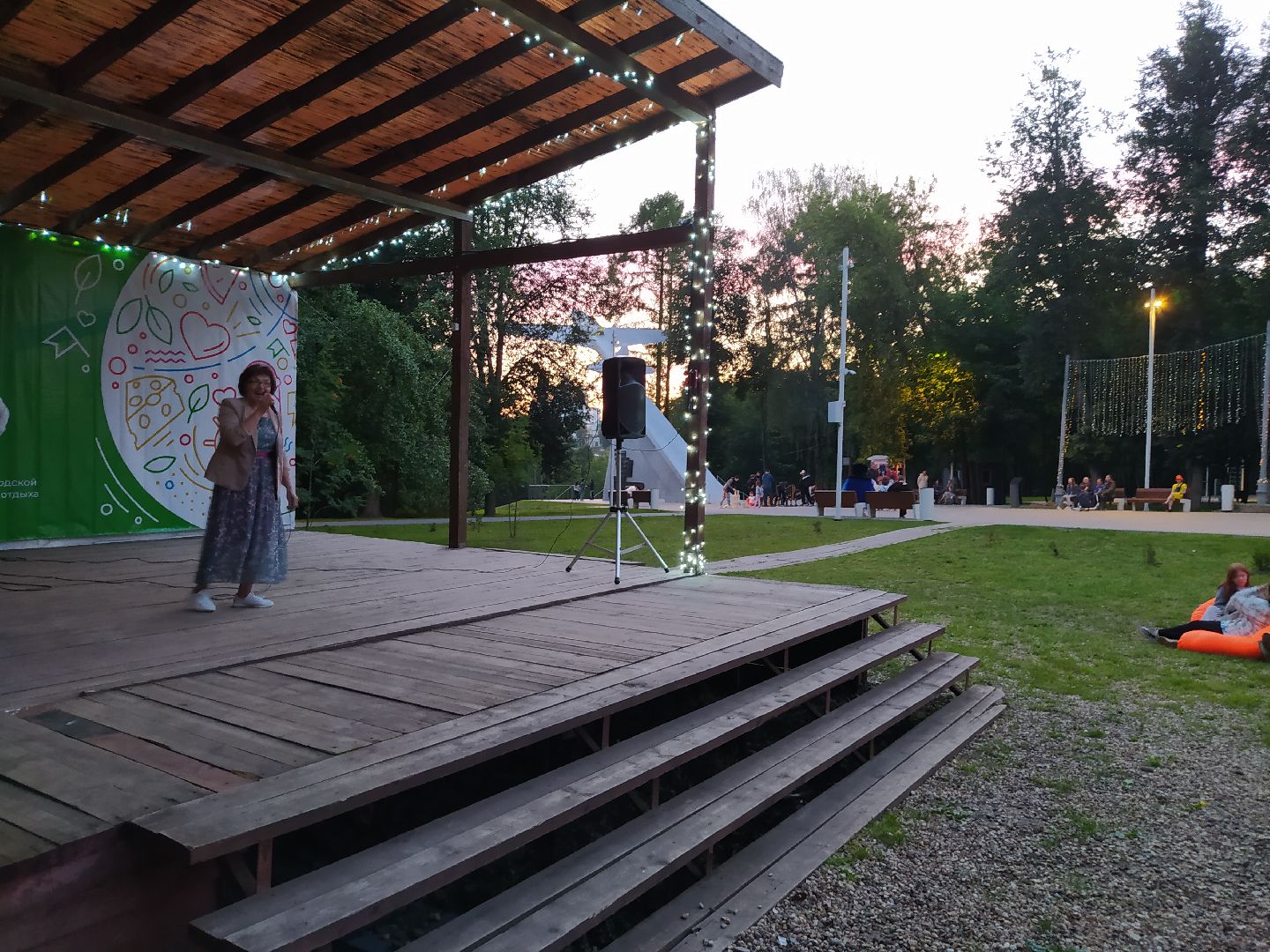 Истра, парк, ночь, концерт