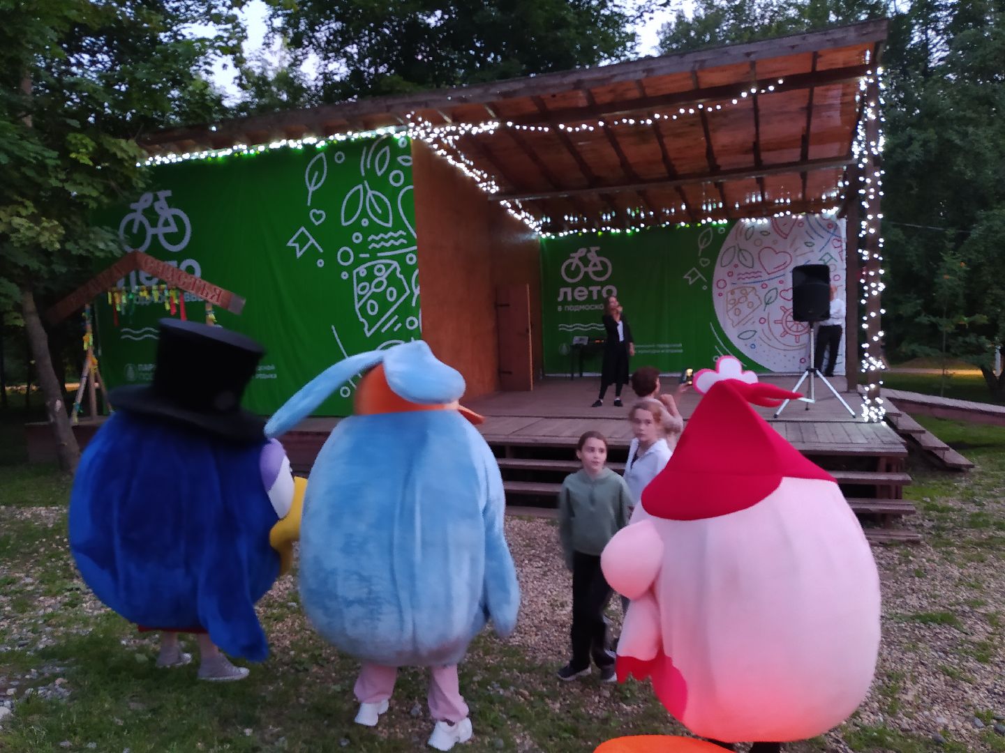 Истра, парк, ночь, концерт