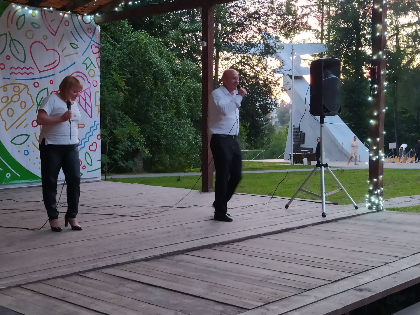 Истра, парк, ночь, концерт