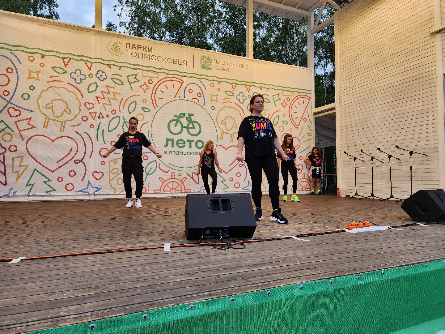 концерт, лето в Подмосковье, доброе дело