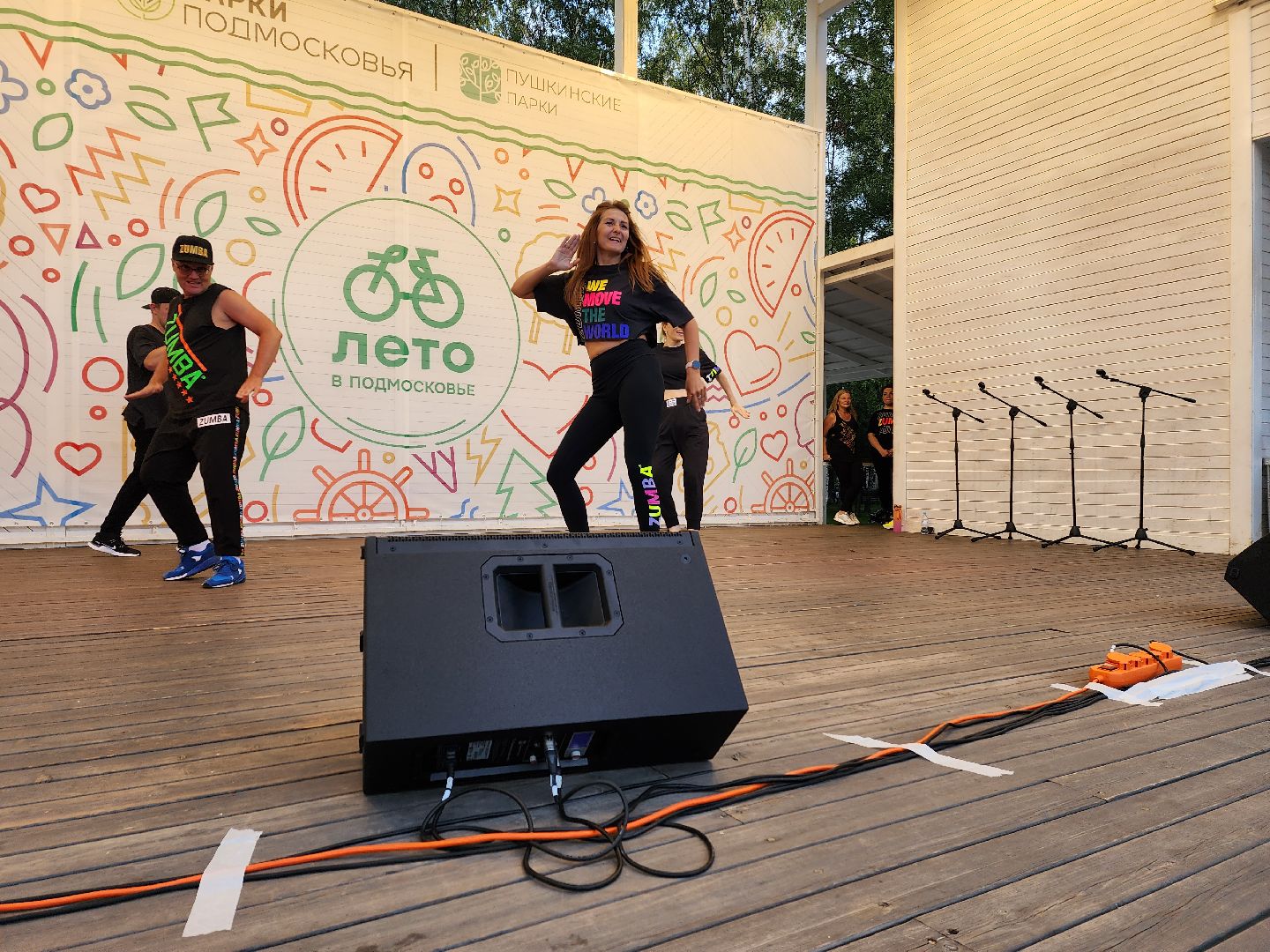 концерт, лето в Подмосковье, доброе дело