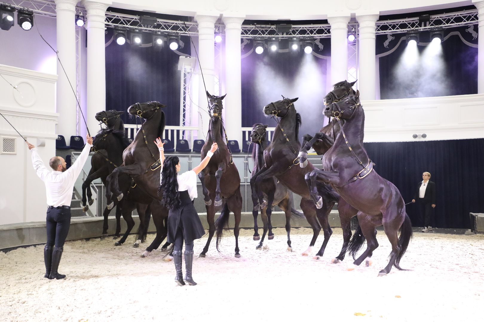 лыткарино, спорт, тентпеггинг, конный спорт, международные соревнования,