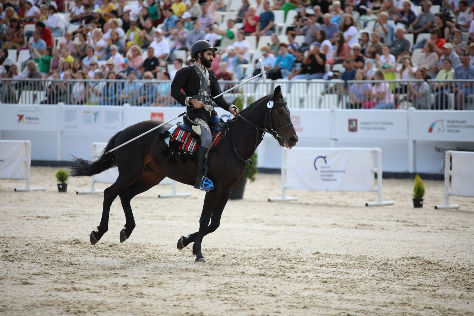 лыткарино, спорт, тентпеггинг, конный спорт, международные соревнования,