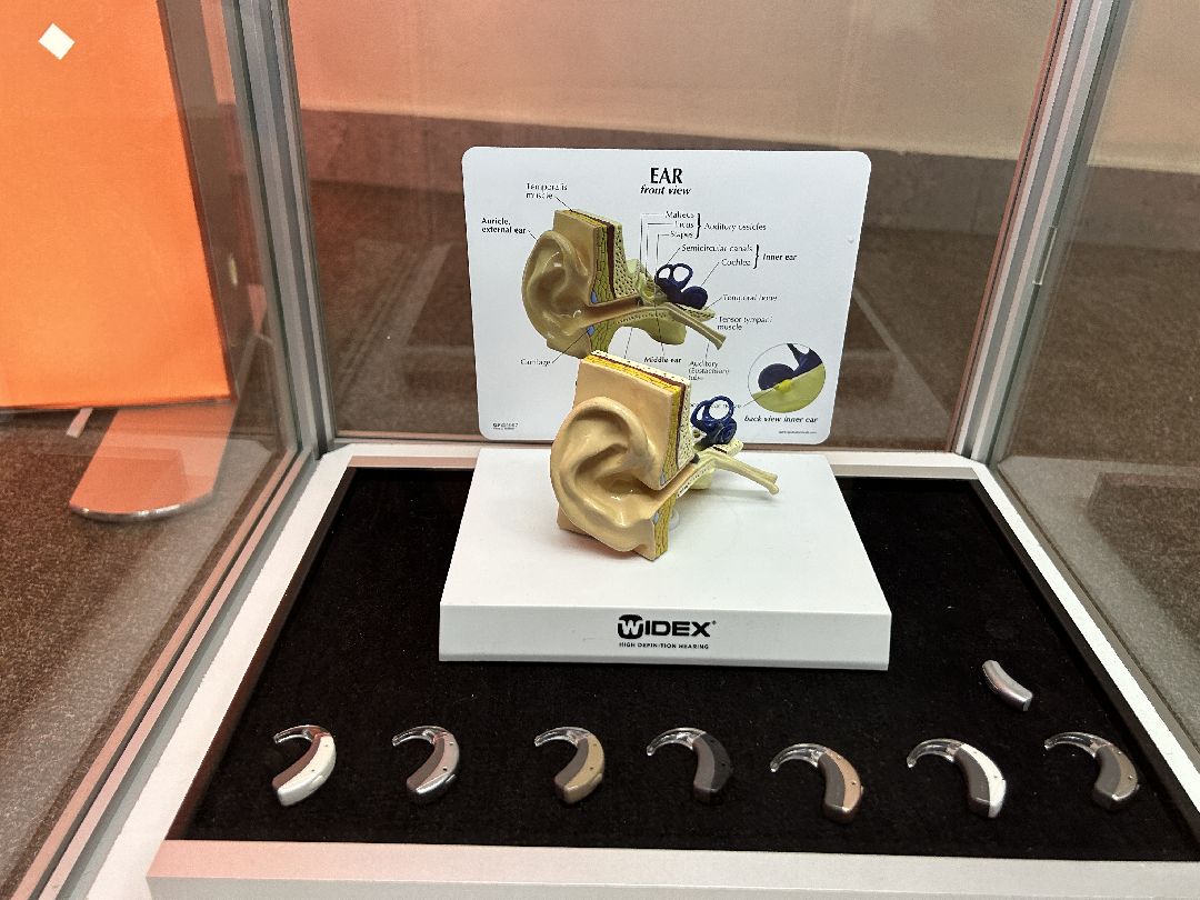 медицина, слуховые аппараты, слух, врачи, фестиваль, Фрязино