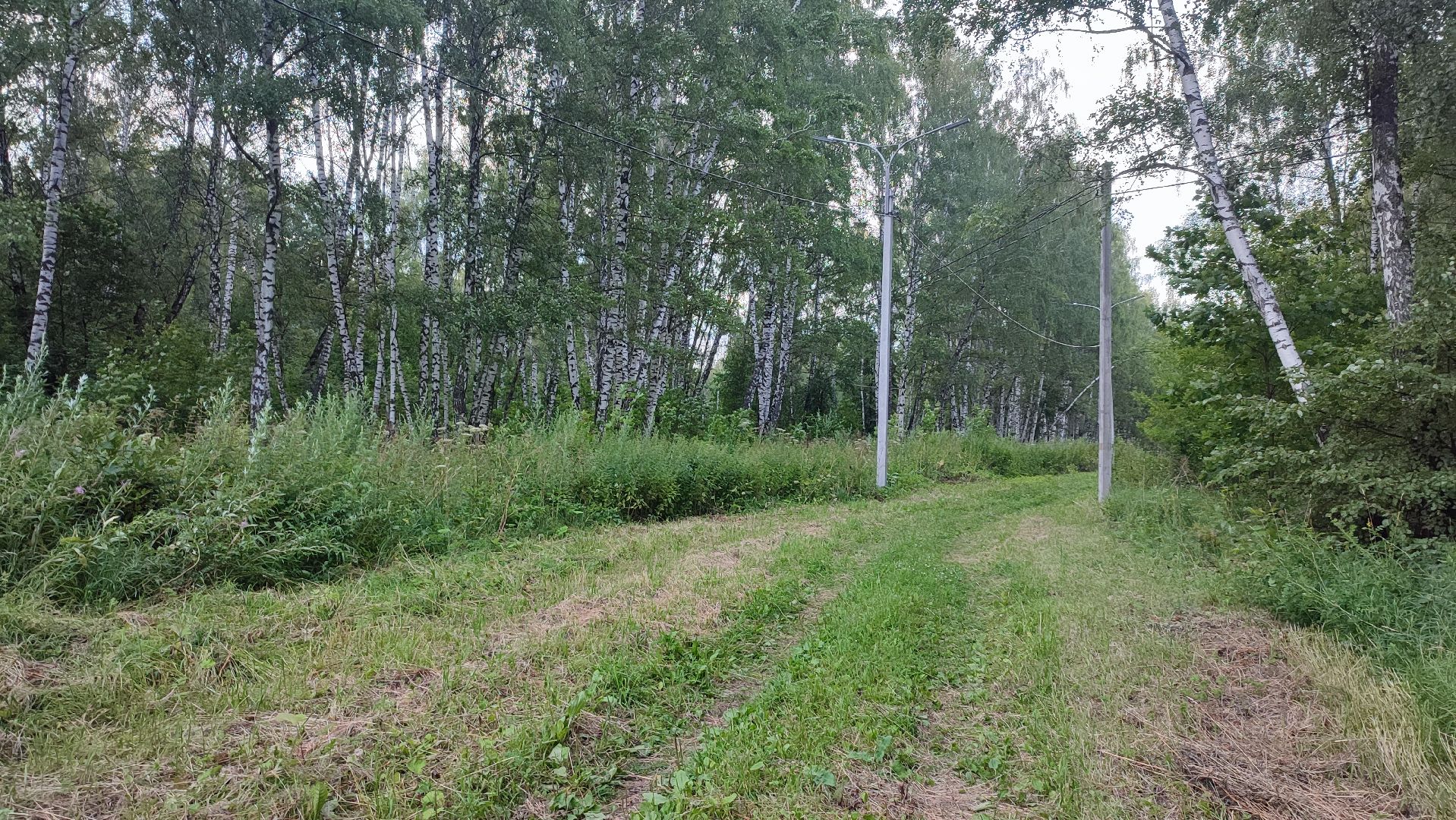 Кашира, парк, лыжная трасса, освещение, благоустройство