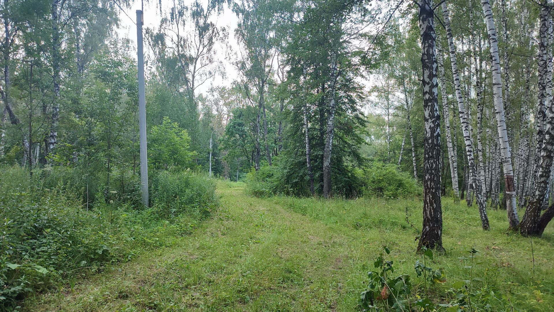 Кашира, парк, лыжная трасса, освещение, благоустройство