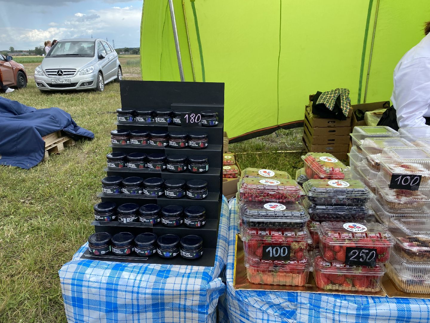 Домодедово, ярмарка, выставка, сельское хозяйство