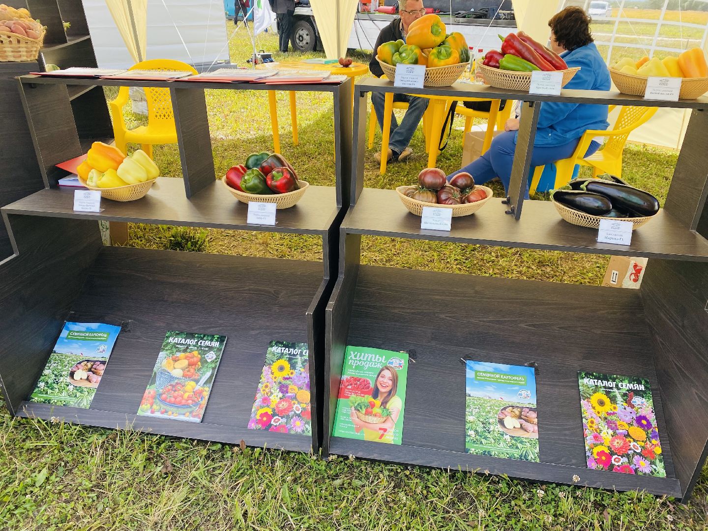 Домодедово, овощная ярмарка, выставка сортов, научный форум