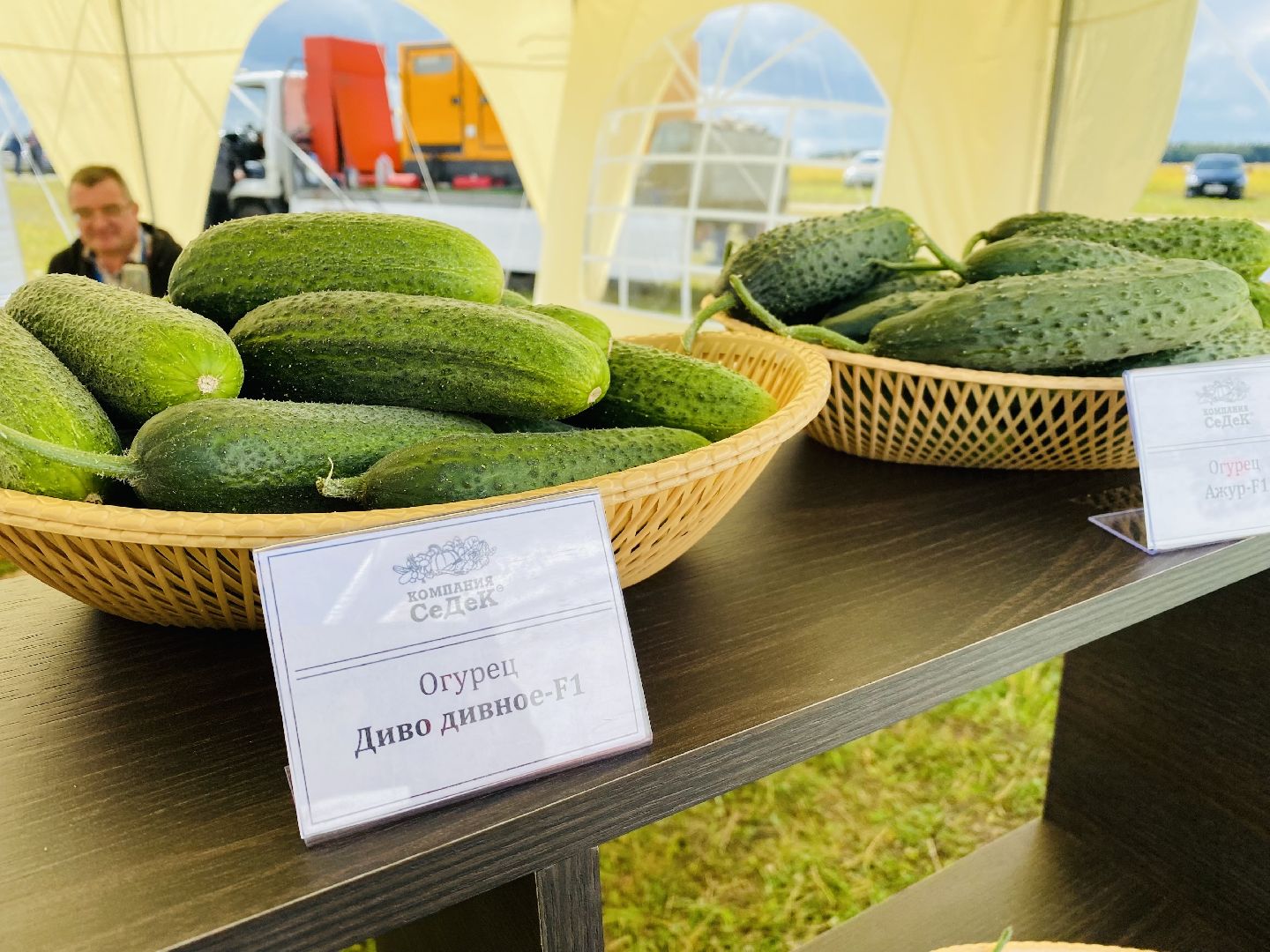 Домодедово, овощная ярмарка, выставка сортов, научный форум