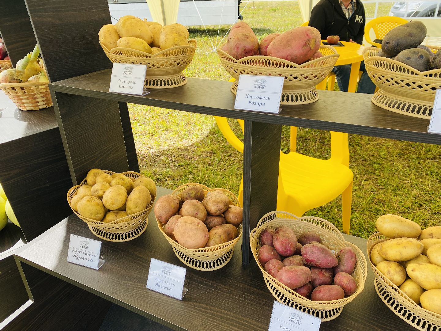 Домодедово, овощная ярмарка, выставка сортов, научный форум