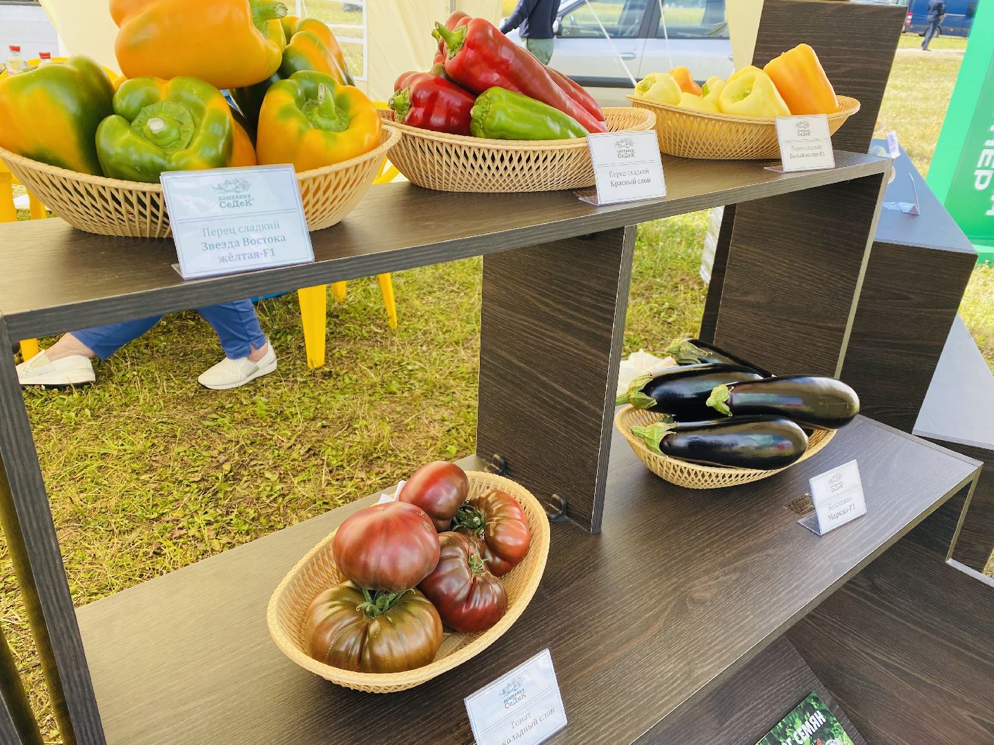 Домодедово, овощная ярмарка, выставка сортов, научный форум