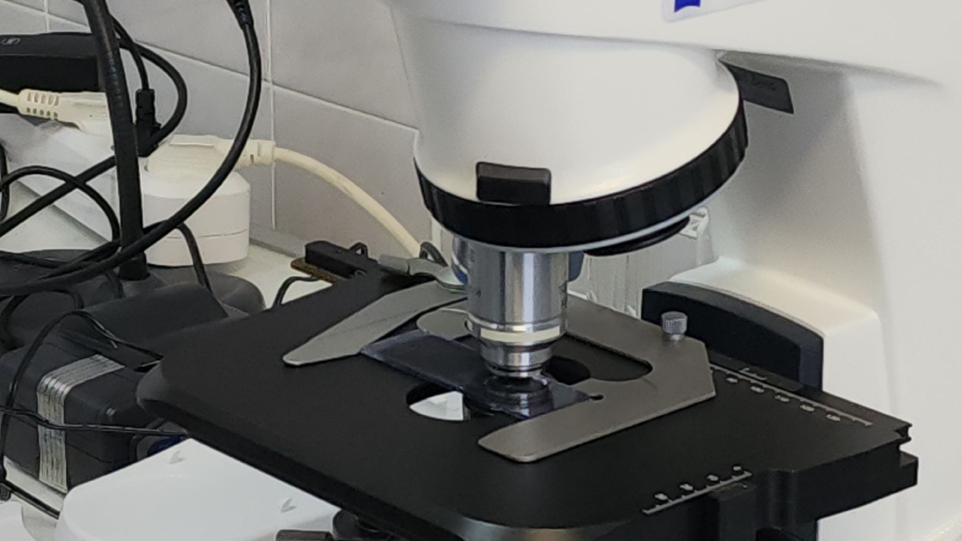 Ступино, медицина, анализы