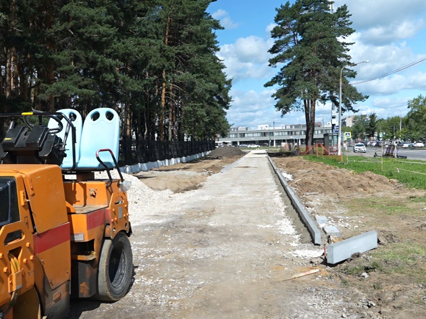 Подольск, деревья