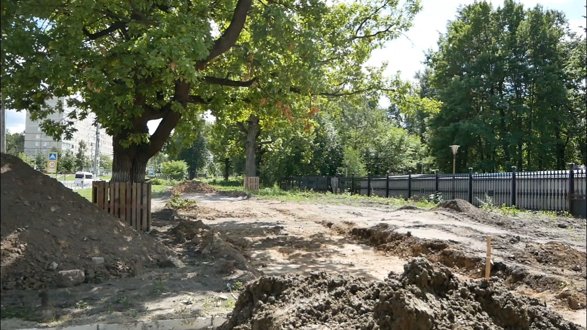 Подольск, деревья