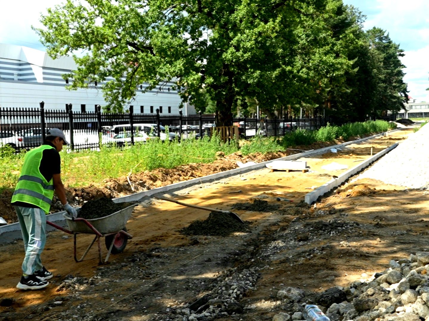 Подольск, деревья