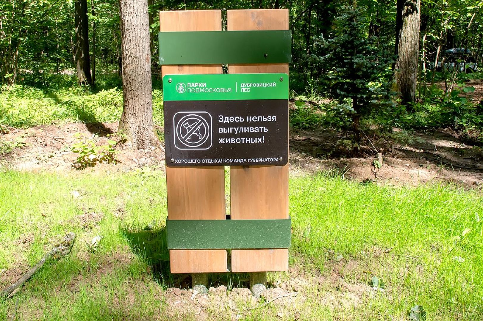 Подольск, Спорт