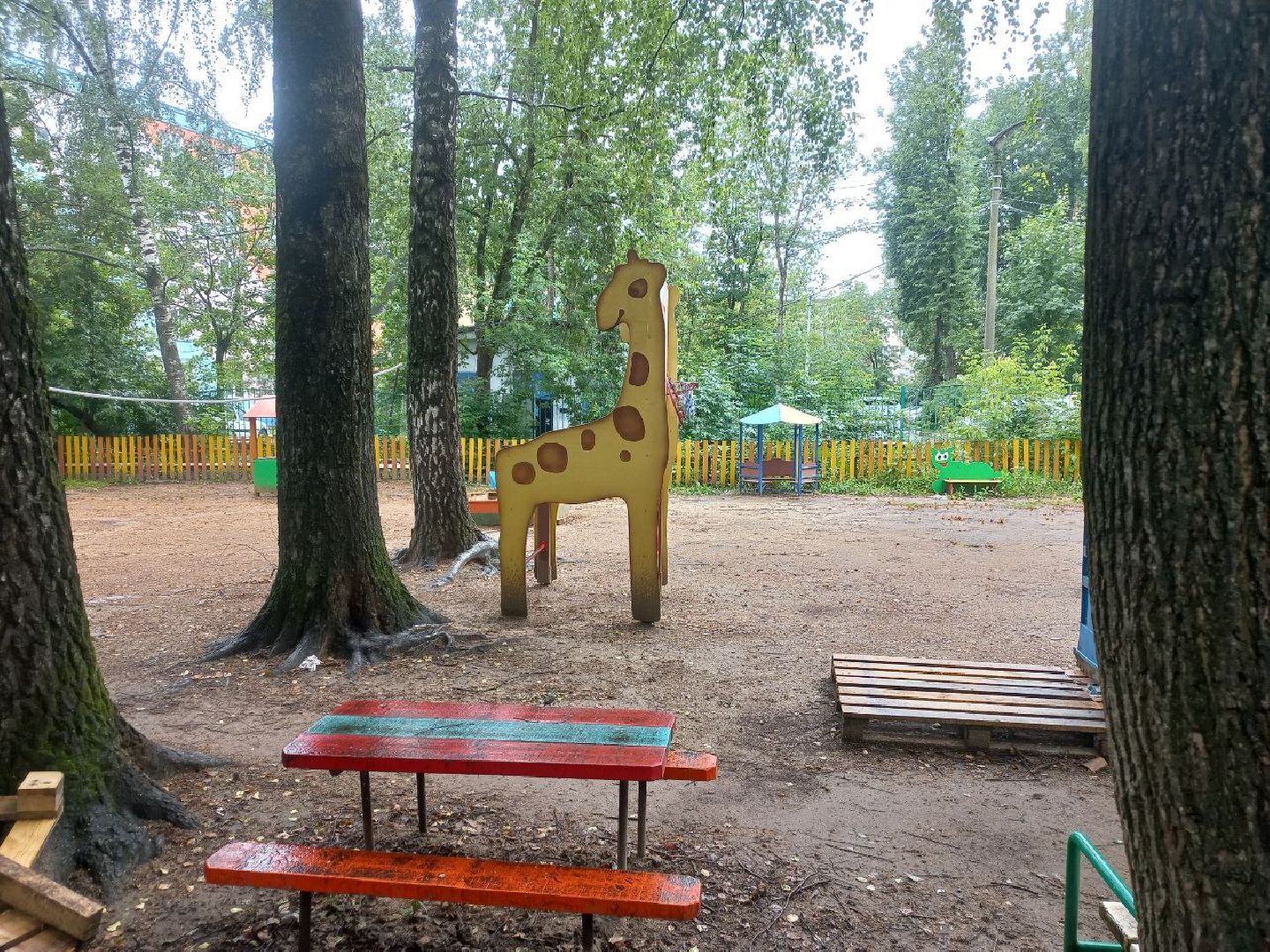 Солнечногорск, ремонт, сад, дети, родители