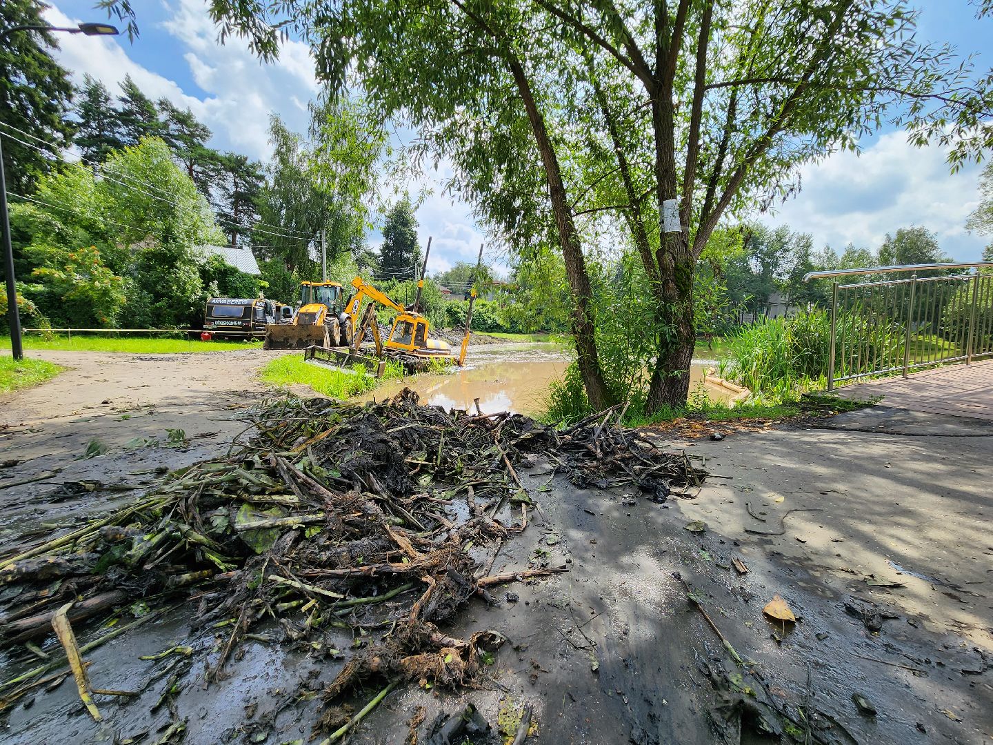 Одинцово, Немчиновский, пруд, очистка, экология, что прудов и озёр, Минэкологии, администрация, Акваберег,