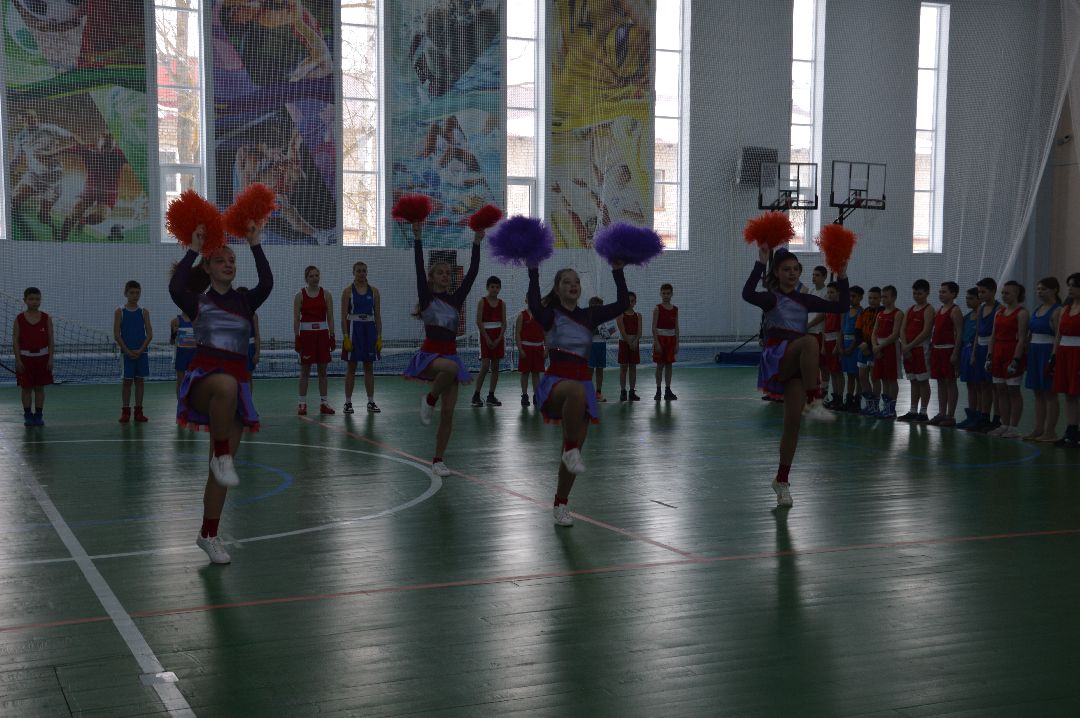 бокс, Тарачанов Станислав, Олег Баранов, Открытый боксёрский ринг, Дмитровский Погост, СВО, спорт, детский спорт