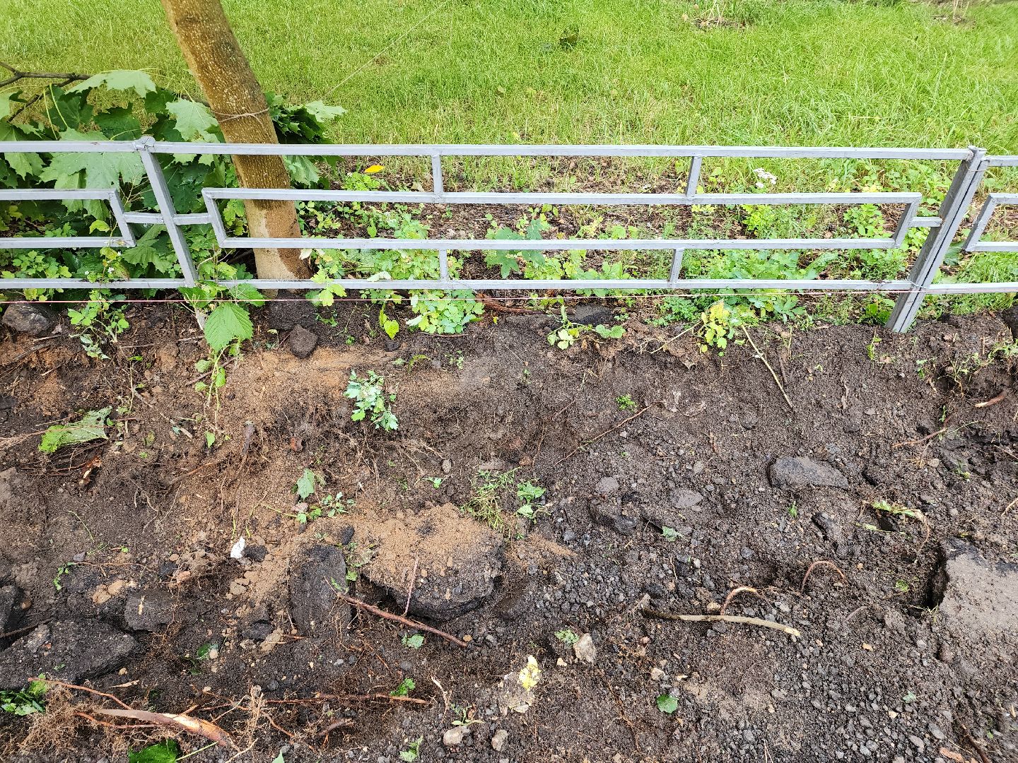 двор, доброе дело, Пушкино, ЖКХ