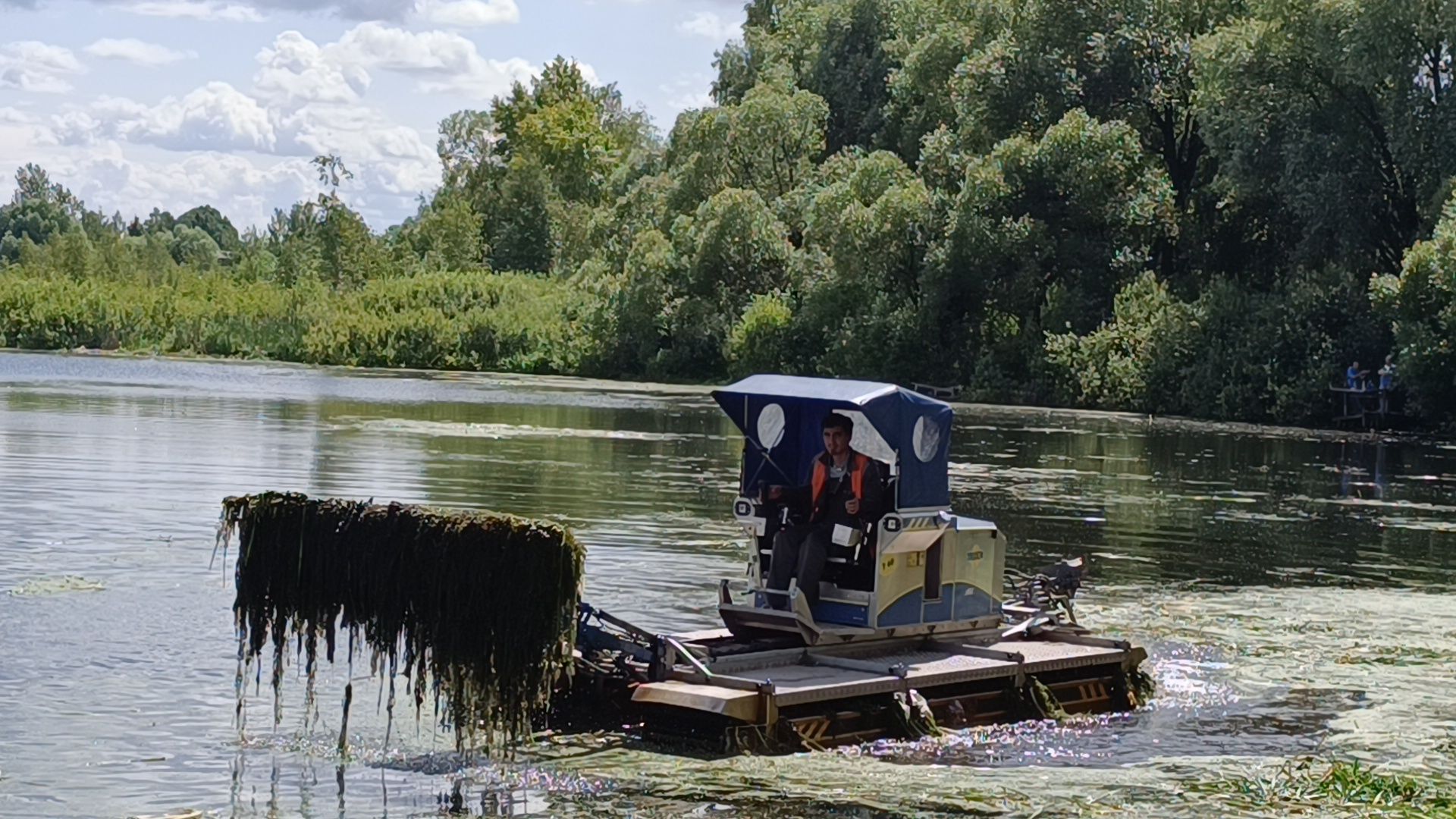 Лобня, озеро, экология