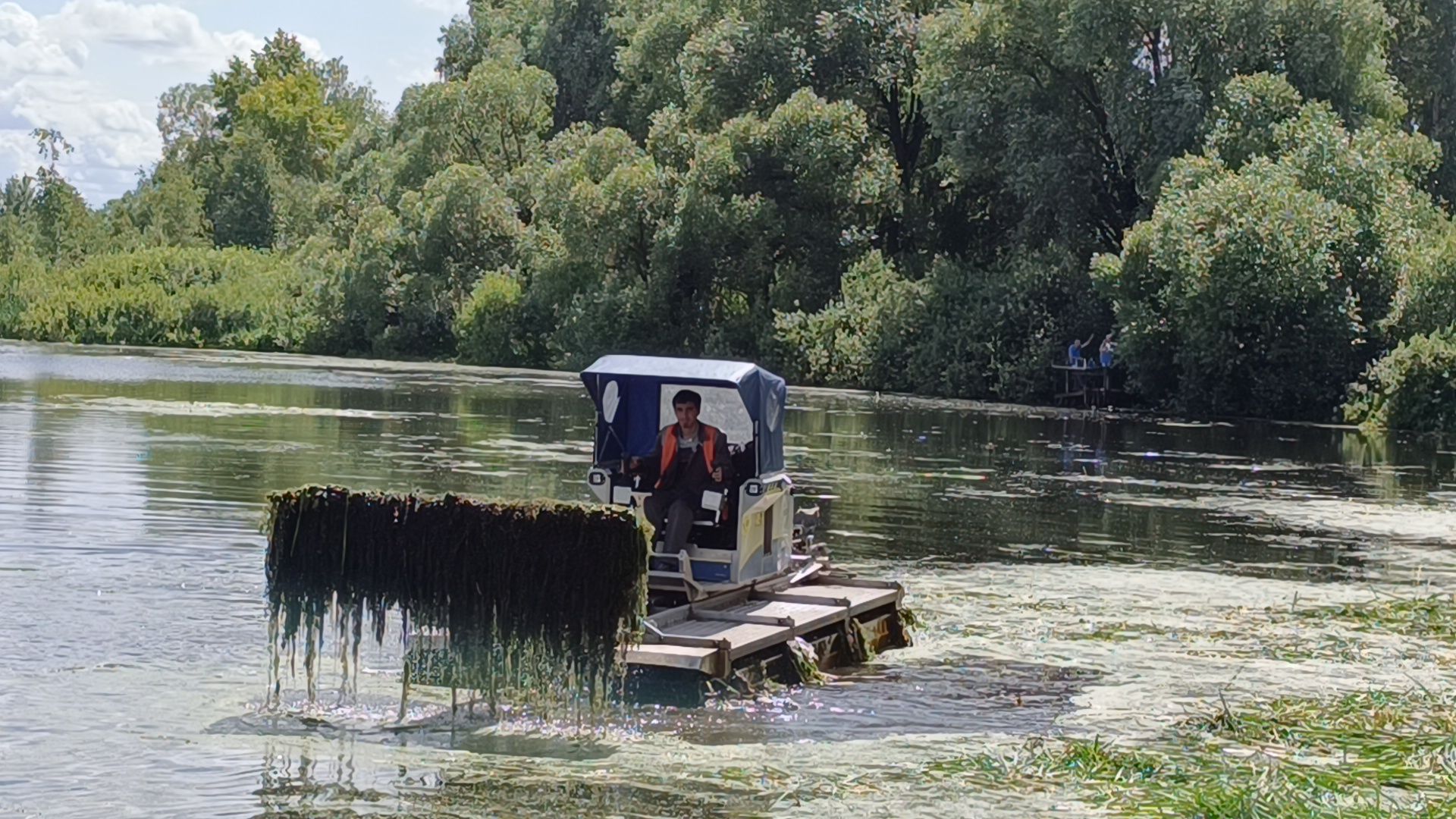 Лобня, озеро, экология