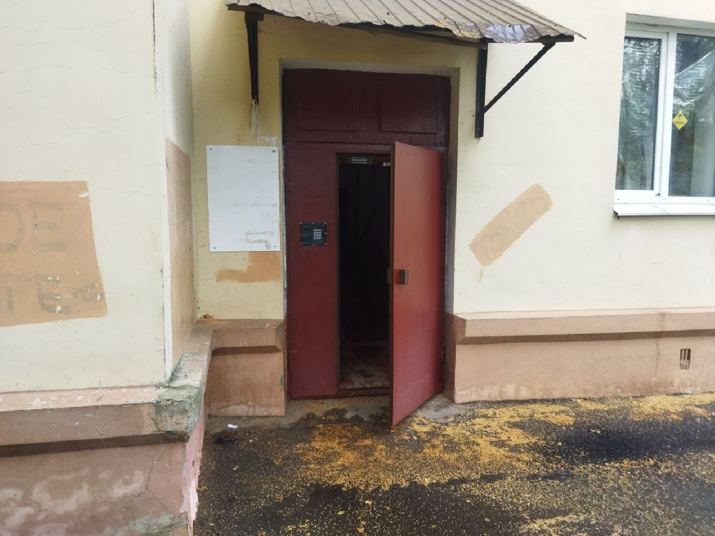 Истра, Снегири, подъезд, ремонт