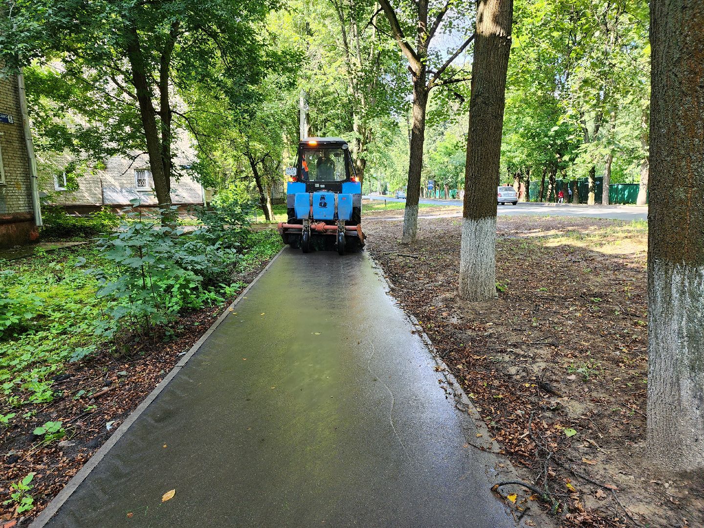 двор, доброе дело, Пушкино