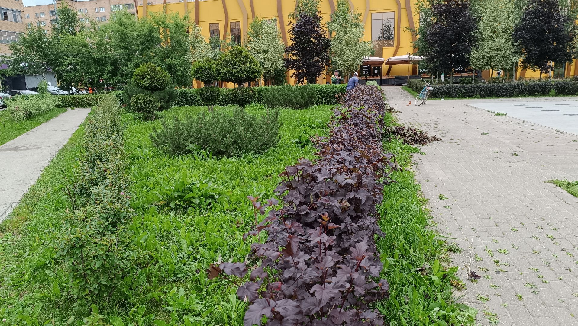 Лобня, парк, благоустройство