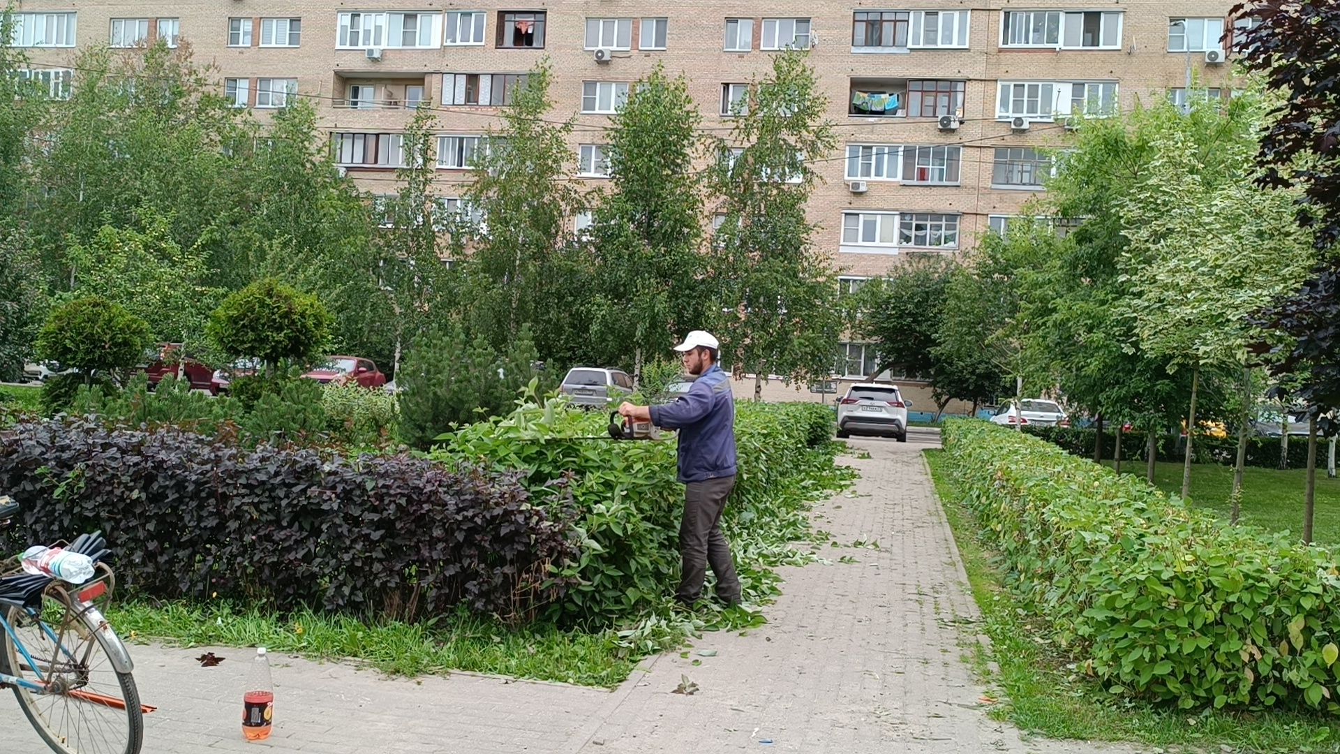 Лобня, парк, благоустройство