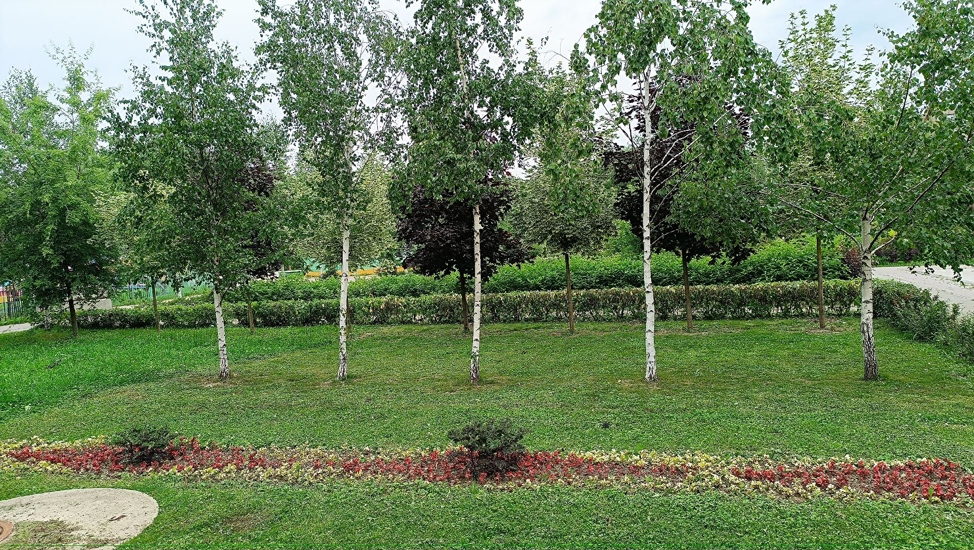 Лобня, парк, благоустройство