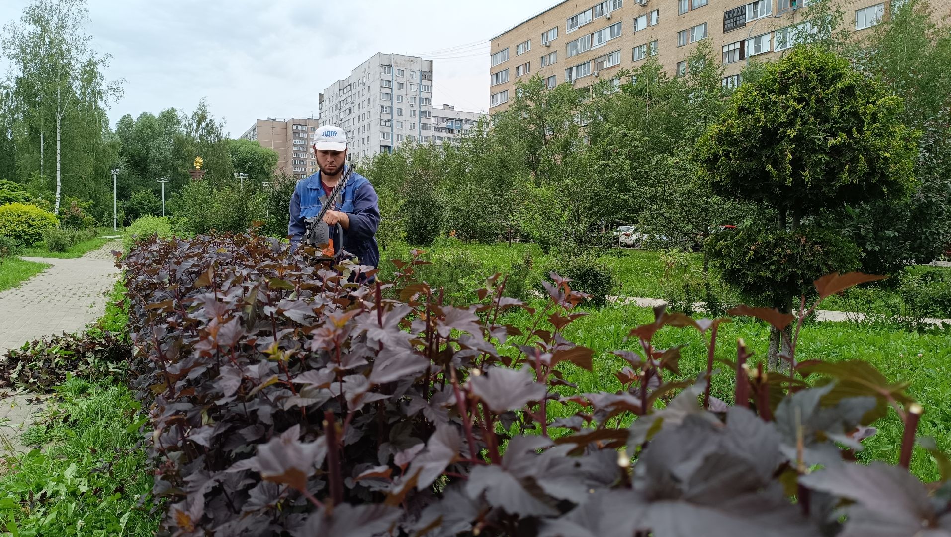 Лобня, парк, благоустройство