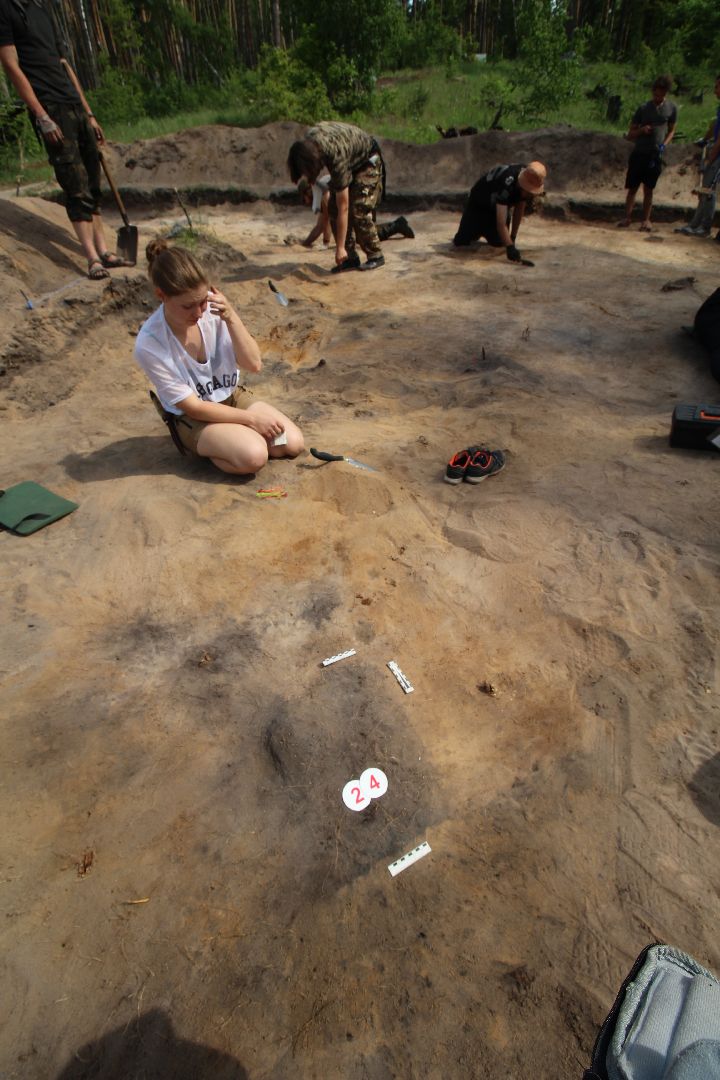 Ступино, археология, культура