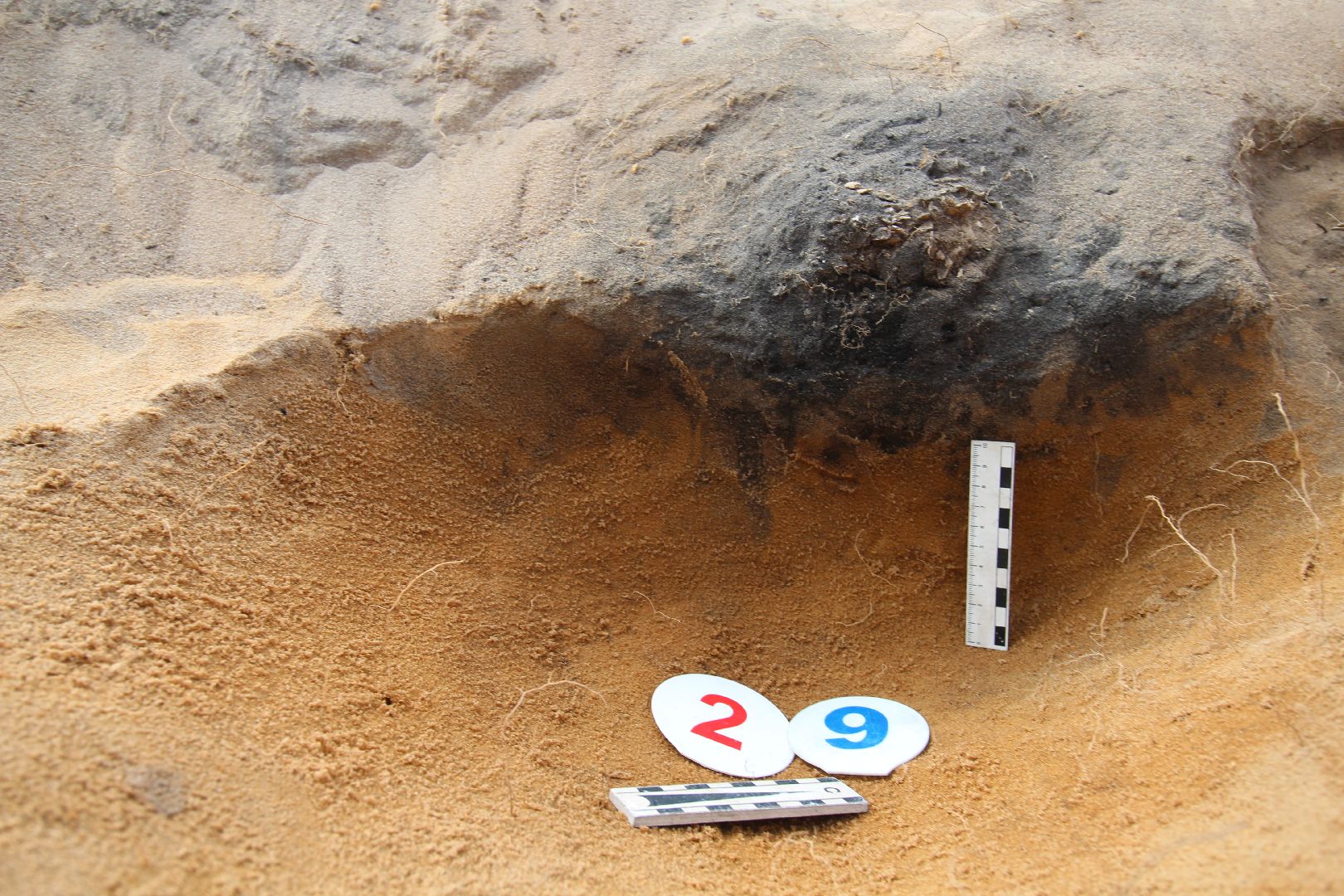 Ступино, археология, культура